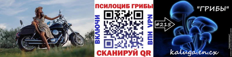 Псилоцибиновые грибы мицелий  Грязи 